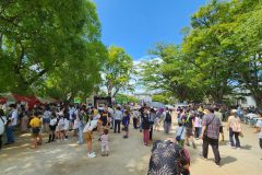 natsumatsuri2023_11_other-01-scaled