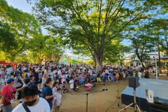 natsumatsuri2023_11_other-15-scaled